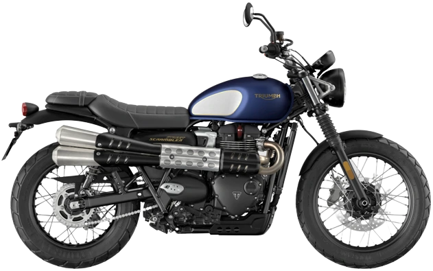 Street Scrambler Gold Line