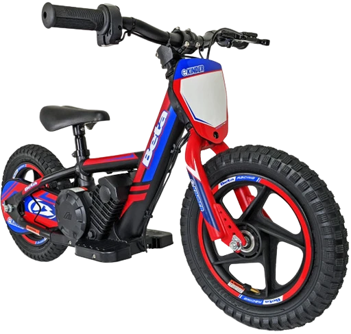 12 - Kinder Youth eBike