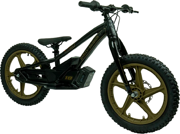 eBike 18e Low Rider Edition