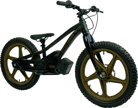 eBike 20e Low Rider Edition