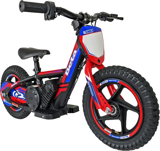 Kinder Youth eBike 12"