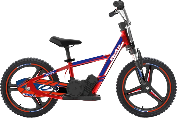 16 Pro - Kinder Youth eBike