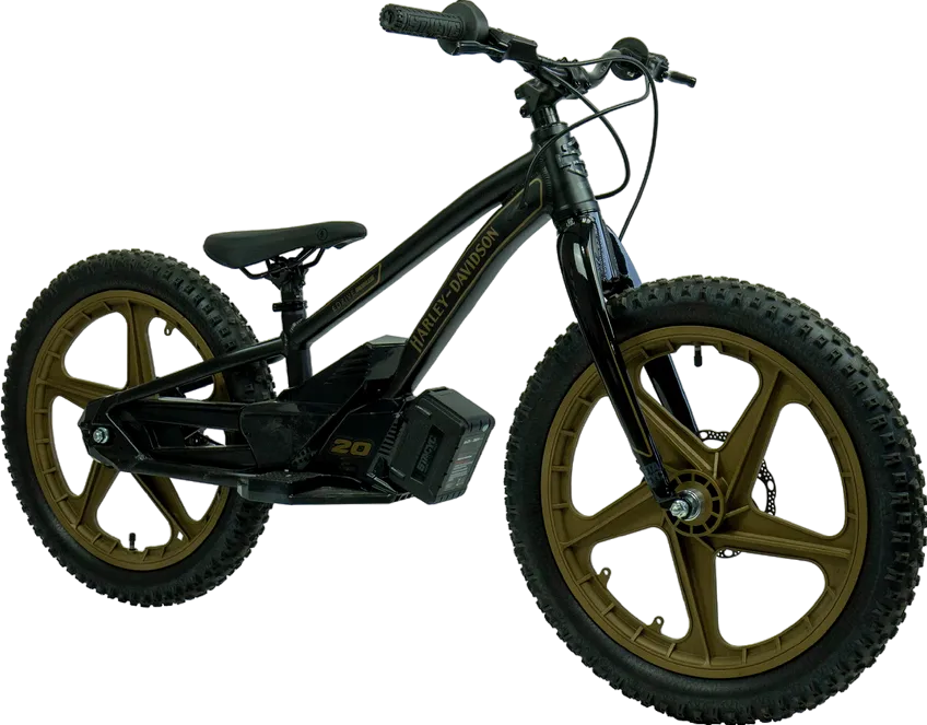 eBike 20e Low Rider Edition