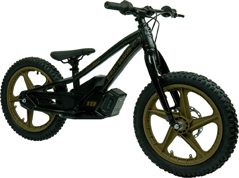 eBike 18e Low Rider Edition